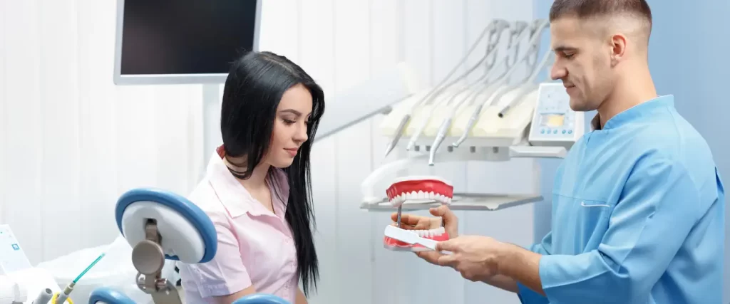 dentist showing woman a model of jaw